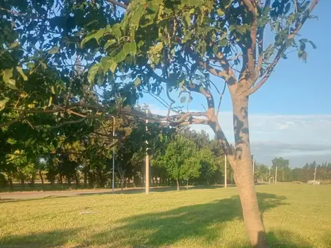 VENTA DE TERRENO EN ECOPUEBLO ALVEAR