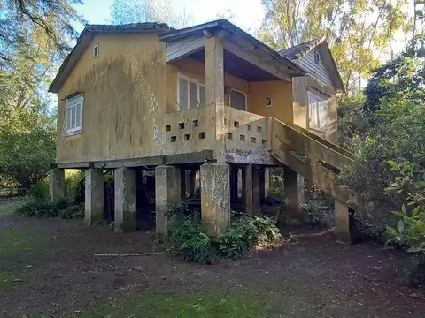 Toro Isla Kre 100
