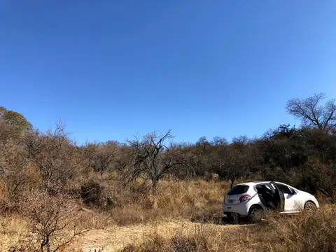 Terreno en Venta de 785,0 m2