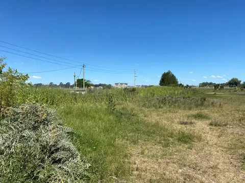 Campo en Venta de 21  ha