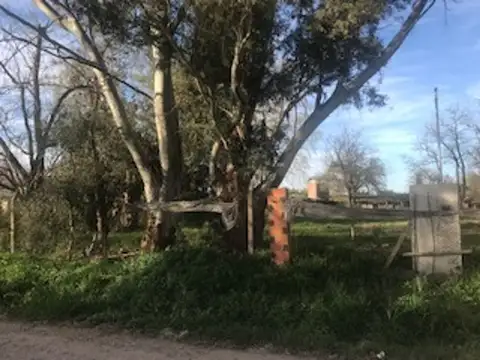 Los Tilos