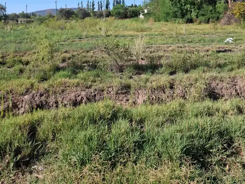 Terreno en Venta 52  mts Frente