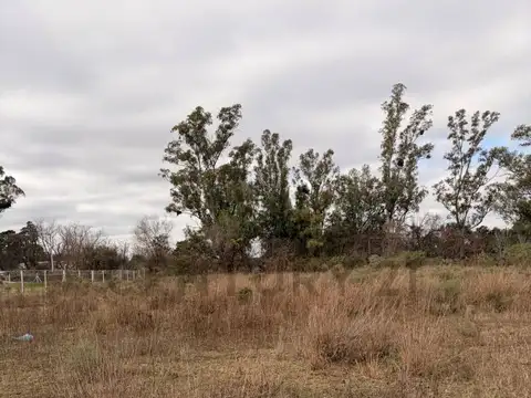 Campo en Venta de 2  ha