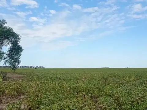 Campo en Clason - agricola