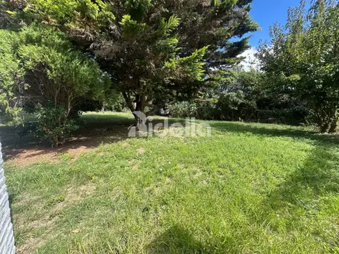 Lote en venta de 1065.6m2 - Los Naranjos - Arbolado, privacidad, tranquilidad