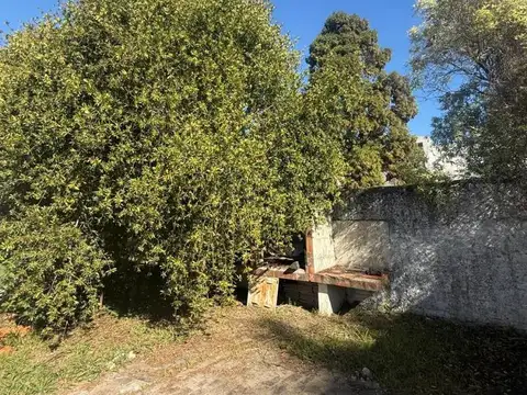 Camacua 1200