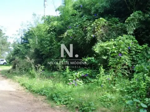 Terreno en Venta 29  mts Fondo