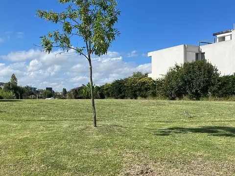 Terreno en Venta en San Marco, USD 299.000