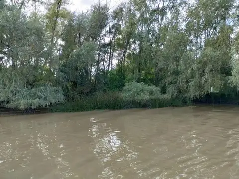 VENTA DE LOTE EN EL DELTA DE TIGRE PRIMERA SECCIÓN