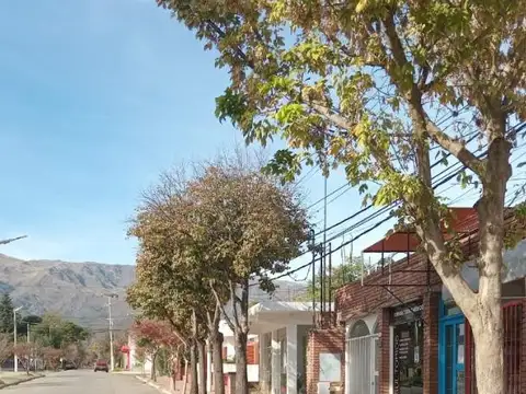Local Comercial en Venta en Merlo San Luis