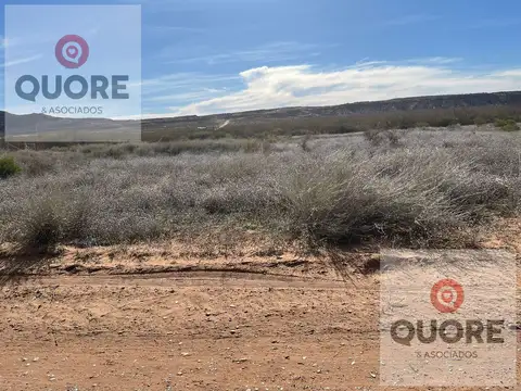 Terreno en Venta 40  mts Fondo