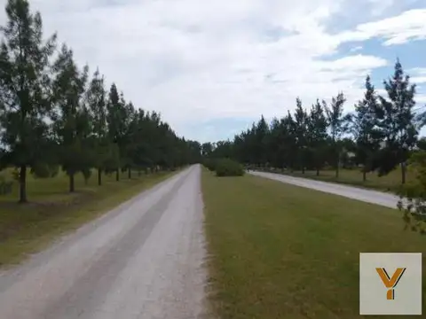 Campos De Roca II