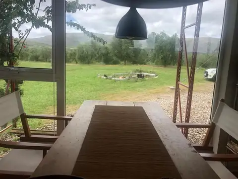 Campo de 43 hectareas con plantacion de Olivos de