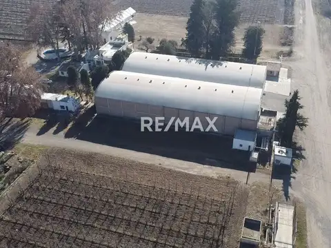 GALPÓN EN ALQUILER  | FERNÁNDEZ ORO