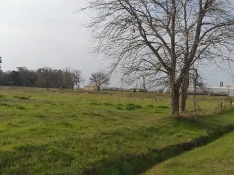 Lotes (Se venden juntos O Por Parcela) | Lote 7 y 8 | 393 m² | Luis Palacios