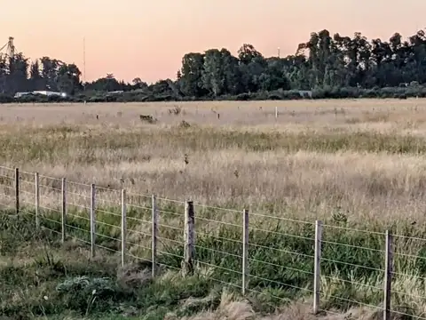 Terreno en Venta en Benito Juarez, USD 43.000