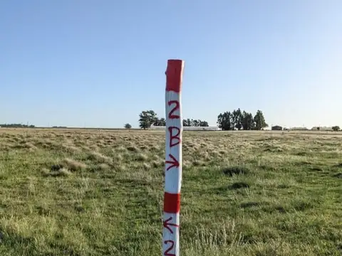 DOS HECTAREAS EN VENTA BENITO JUAREZ