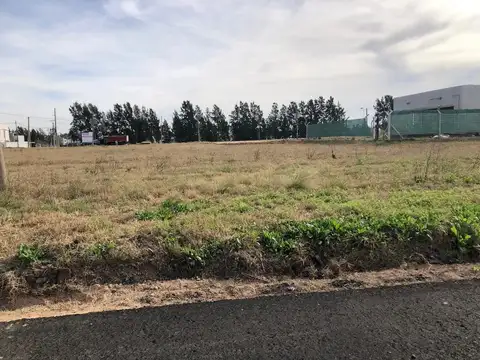 Terreno en Venta en Joaquin Gorina, USD 55.000