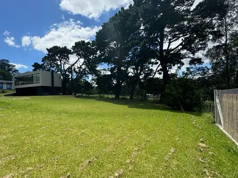 Padre Luis Vareto y Los Jesuitas