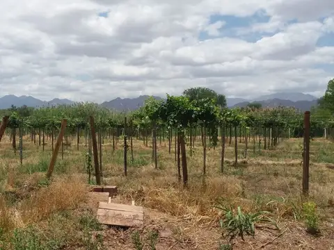 Quinta en Venta en Copacabana, USD 145.000