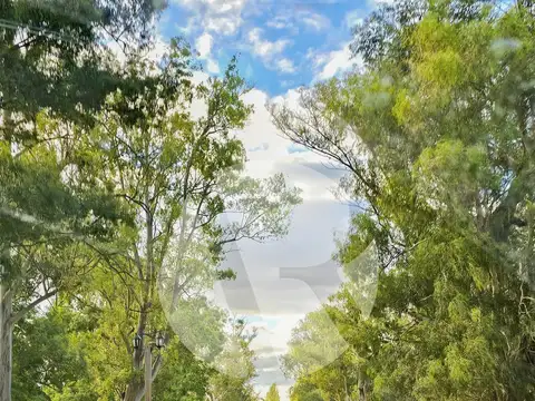 Terreno en Venta de 4009,0 m2