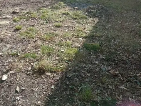 Venta de Lote en Derqui - Golondrina y Las Camelias - Barrio abierto La Alborada