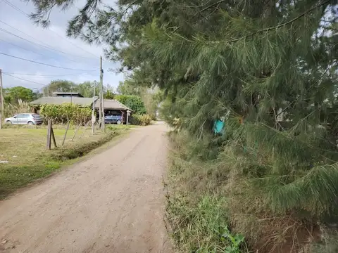 ¡Lote de 8,66 x 34,64 en Sicardi!