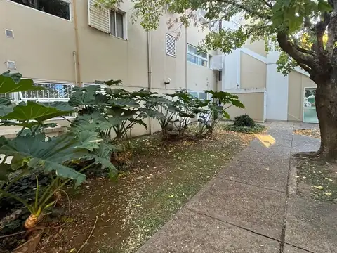 Dorrego 500