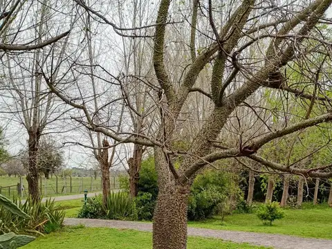 Casa en Venta al Sureste