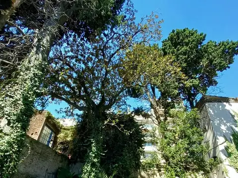 Departamento en Venta 85 años