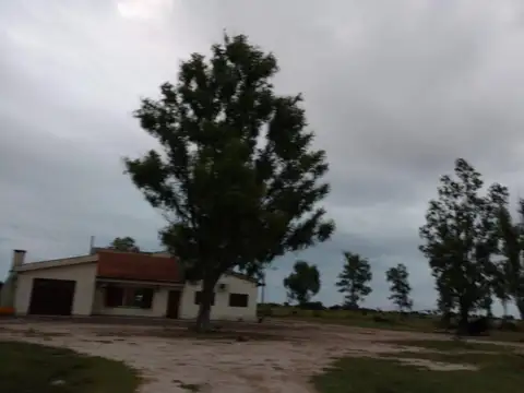 Las Avispas - San Cristobal