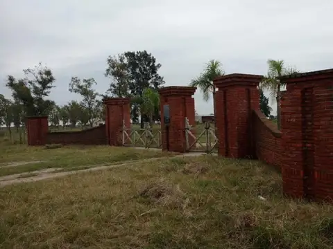 Las Avispas - San Cristobal