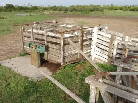 Campo en Venta de 5.000  ha