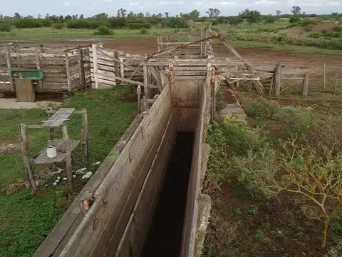 Campo en Venta Agrícola