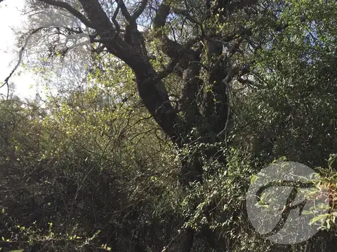 San Javier (cba) I Campo 18.5 ha