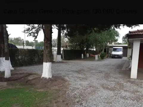 ALFREDO GOBBI 100