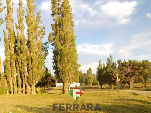 Venta lote en Dina Huapi! En Los Notros esquina Los Retamos – oportunidad!