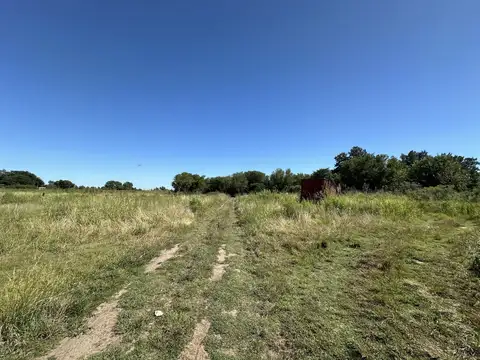 Campo 5 has. en venta en Ibarlucea