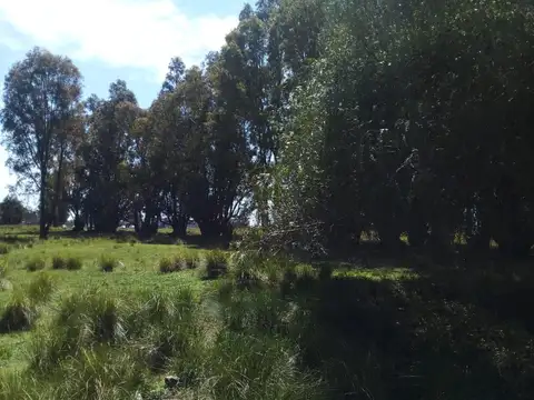 Tres Arroyos: 1 Hectarea zona Parque Cabañas