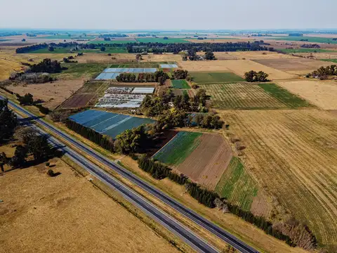 Campo de 27 hectareas a la venta sobre ruta 7