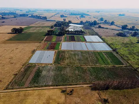 Campo de 27 hectareas a la venta sobre ruta 7