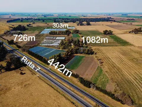 Campo de 27 hectareas a la venta sobre ruta 7