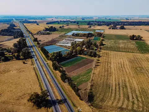 Campo de 27 hectareas a la venta sobre ruta 7