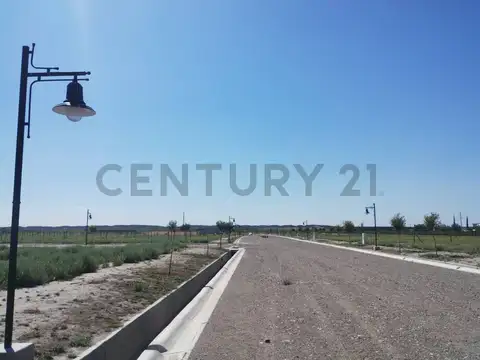 Terreno en Venta en Tupungato, USD 42.000