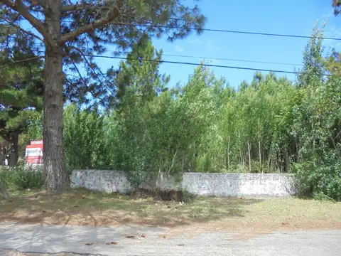 Terreno - Venta - Argentina, San Bernardo