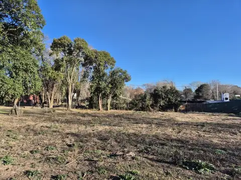 Terreno en Venta en Centro, USD 41.000