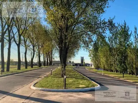 Terreno en Barrio La Alameda