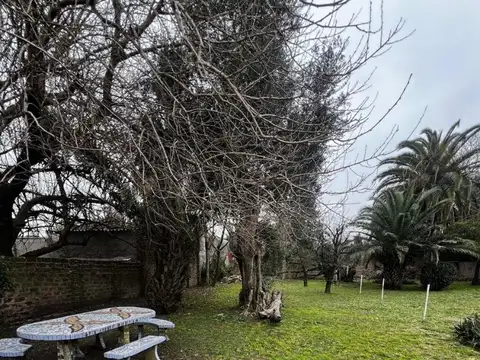 LOTE DE TERRENO