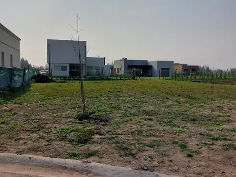 Terreno en Venta de 550,0 m2