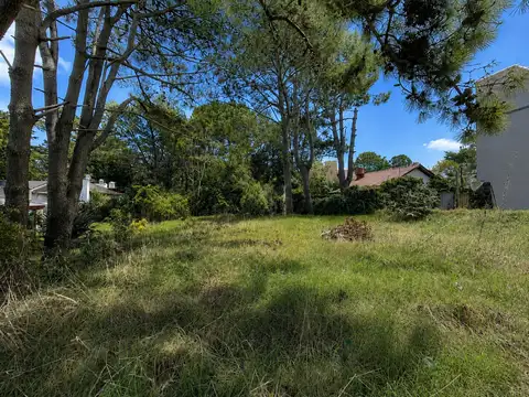 Terreno en Venta 15  mts Frente